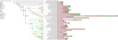 A bird’s-eye view: exploration of the flavin-containing monooxygenase superfamily in common wheat